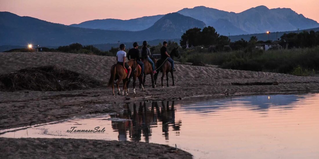 Sunset horseback excursions