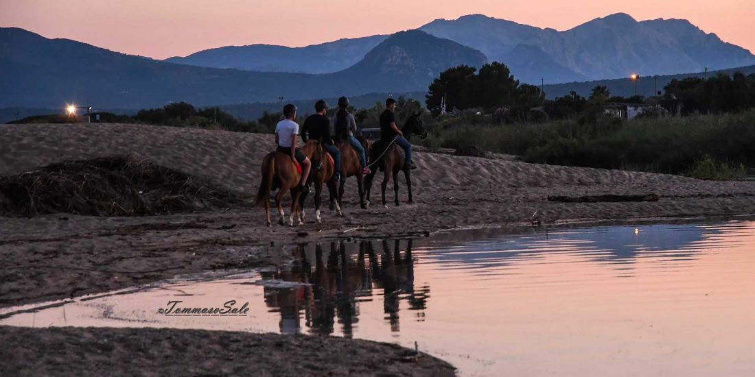 Sunset horseback excursions