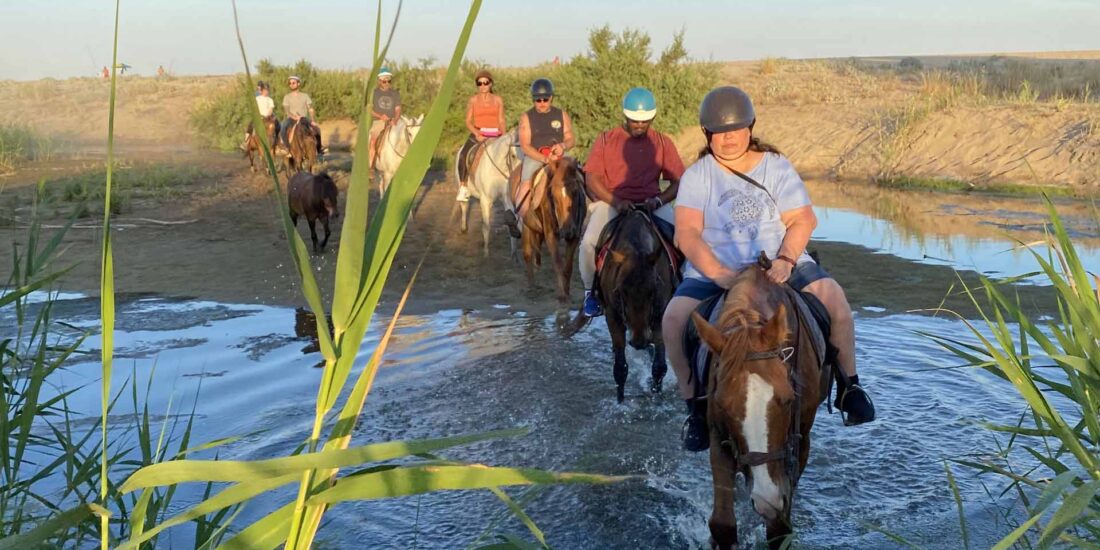 Beginner horseback ride Sardinia