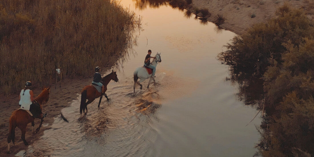 Beginner horseback rides in the Gulf of Orosei