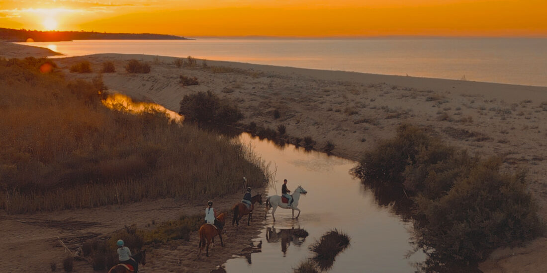 Horseback ride on the beach of Orosei