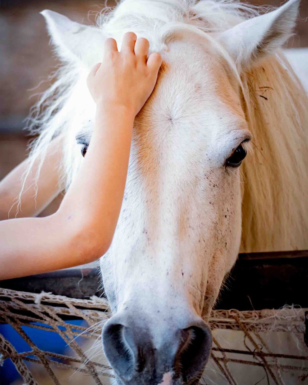 Bambini passeggiata a cavallo a orosei